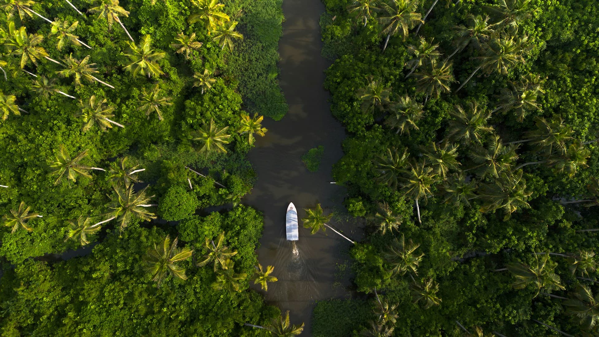 Allappuzha (Alleppey)