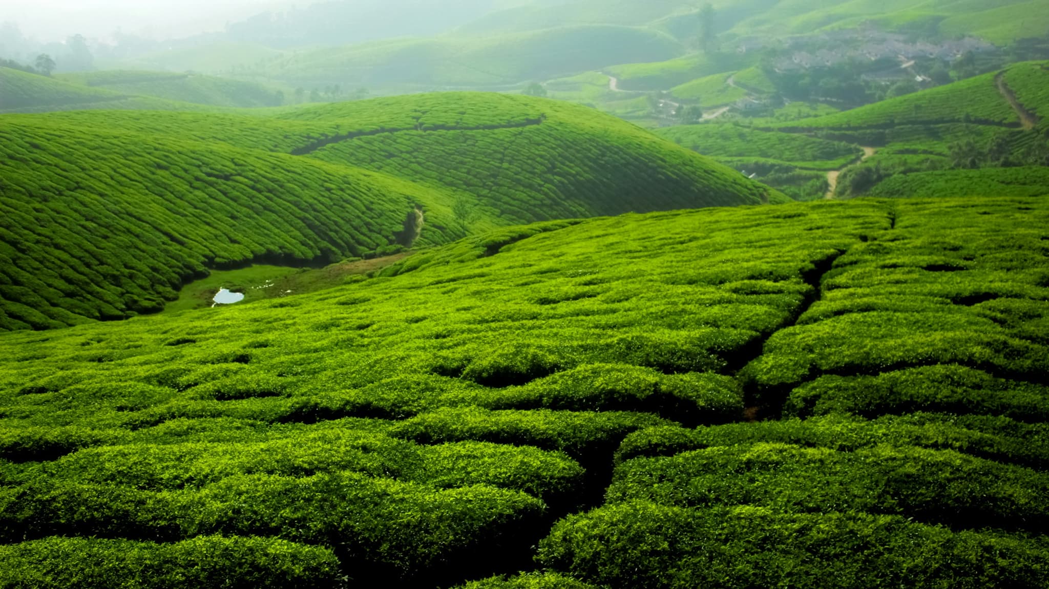 Munnar